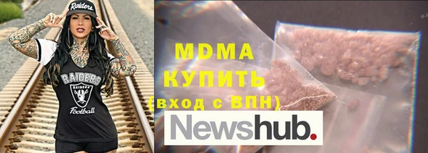 индика Аркадак