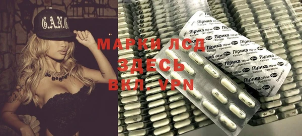 индика Аркадак