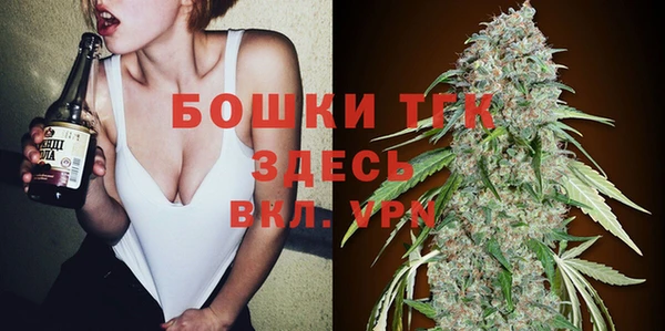 индика Аркадак