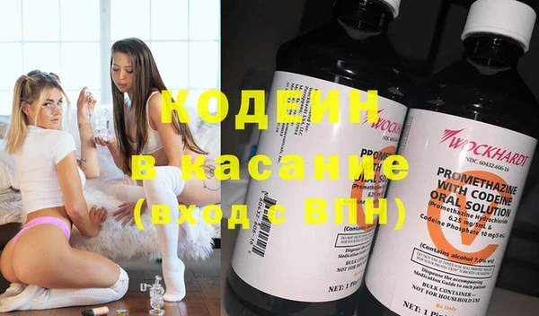 индика Аркадак
