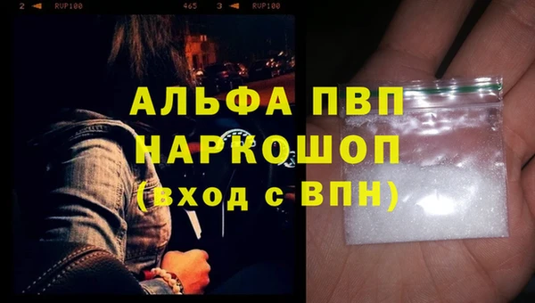 индика Аркадак