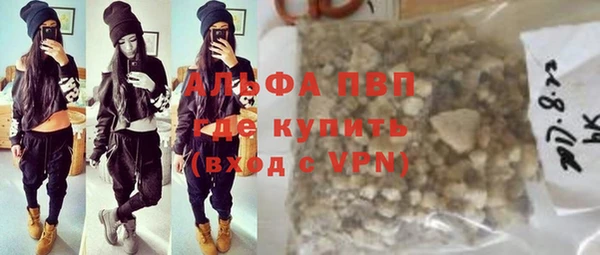 индика Аркадак