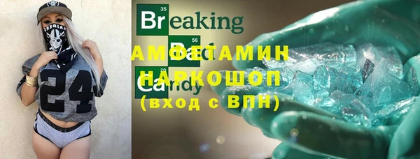 индика Аркадак
