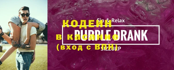 индика Аркадак
